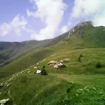 Delle Alpi 3* Miroglio