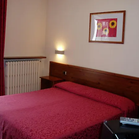 Hotel Delle Alpi 3*