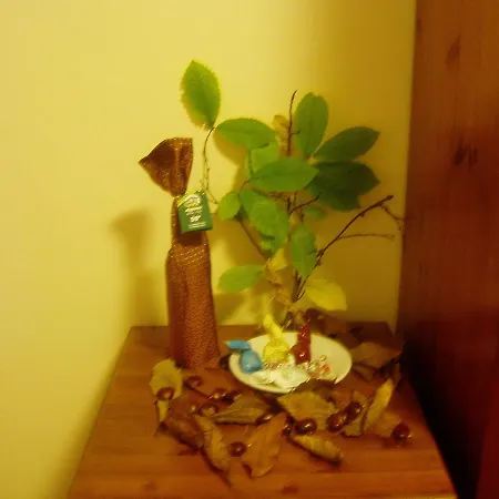 Delle Alpi Hotel Miroglio