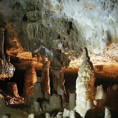 Delle Alpi Hotel Miroglio