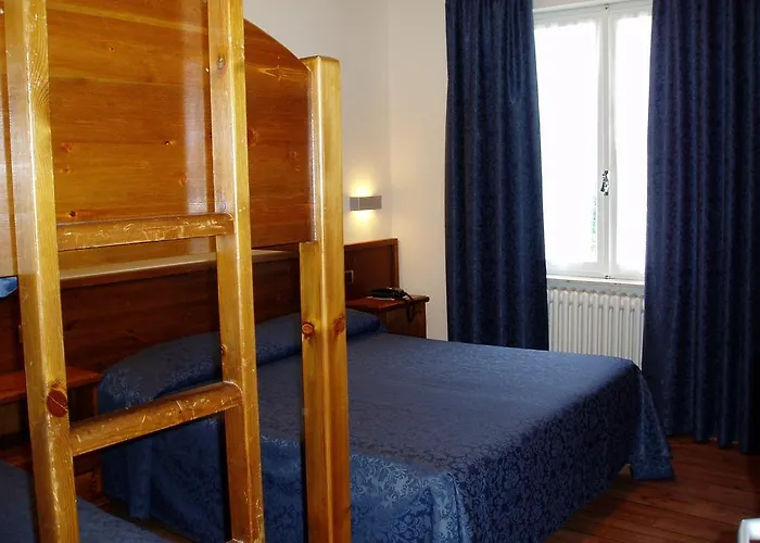 Hotell Delle Alpi 3*