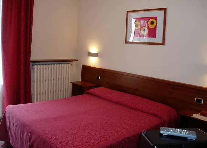 فندق Delle Alpi 3*