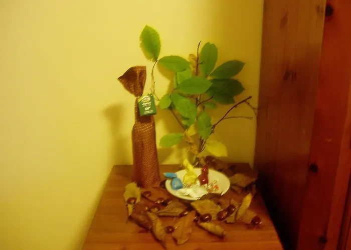 Delle Alpi Hotell Miroglio